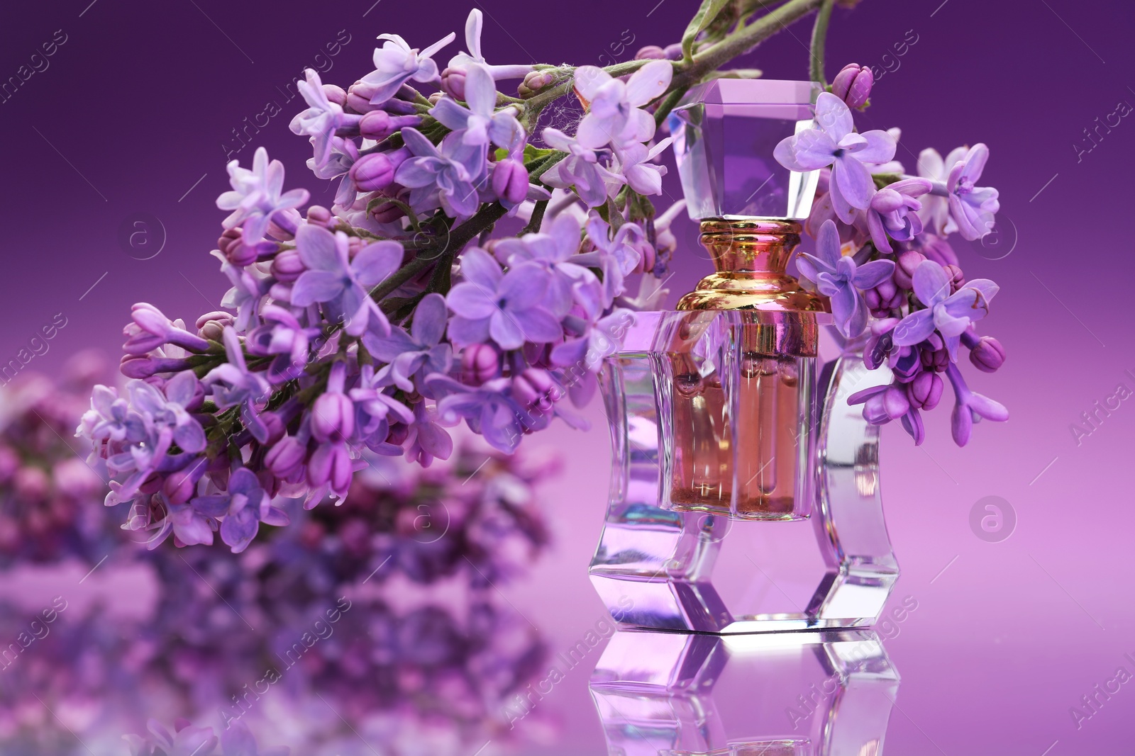 Bottle of perfume and branch with lilac flowers on mirror surface against color gradient background, closeup Photo of Bottle of perfume and branch with lilac flowers on mirror surface against color gradient background, closeup
