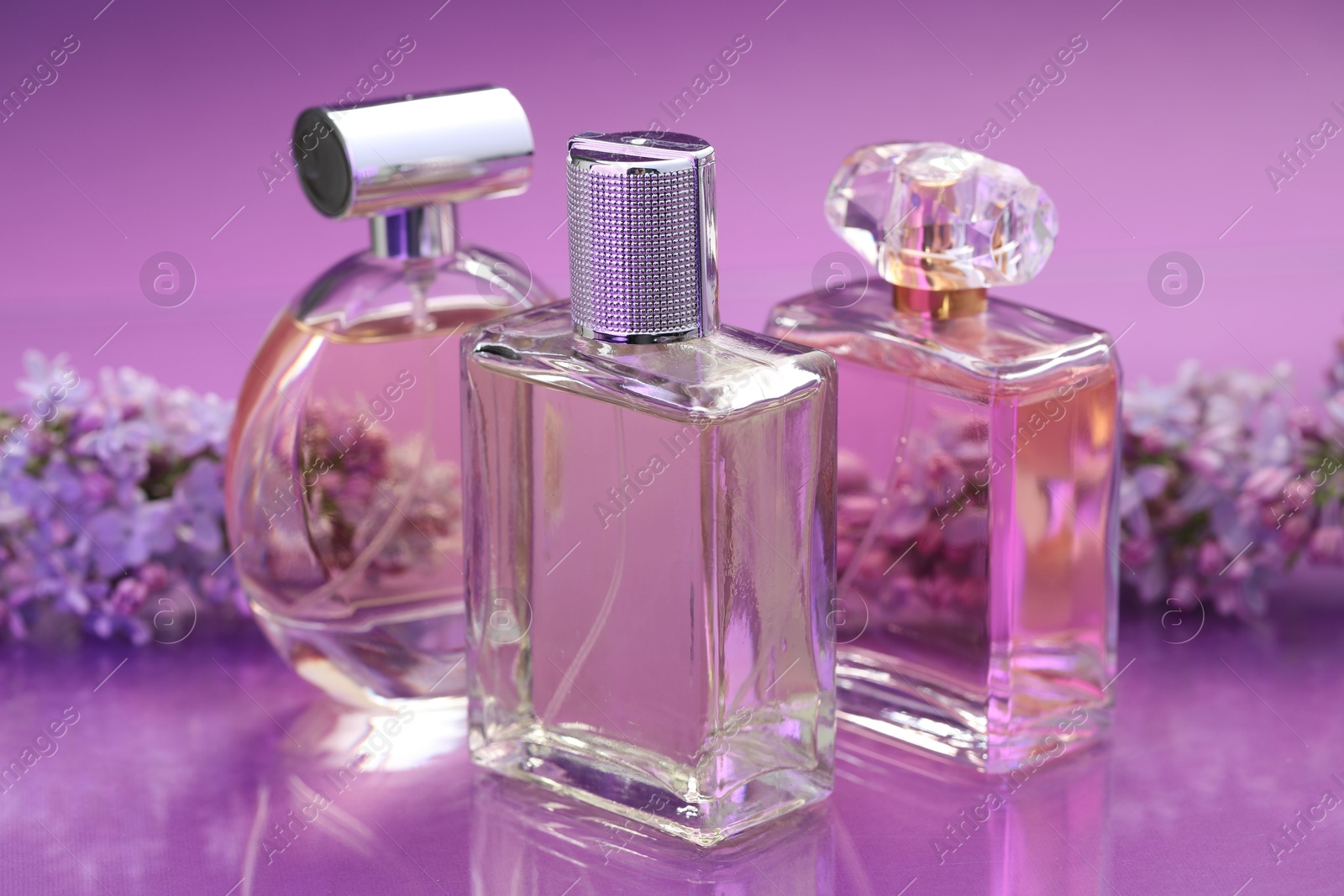 Bottles with perfumes and lilac flowers on mirror surface against color gradient background, closeup Photo of Bottles with perfumes and lilac flowers on mirror surface against color gradient background, closeup