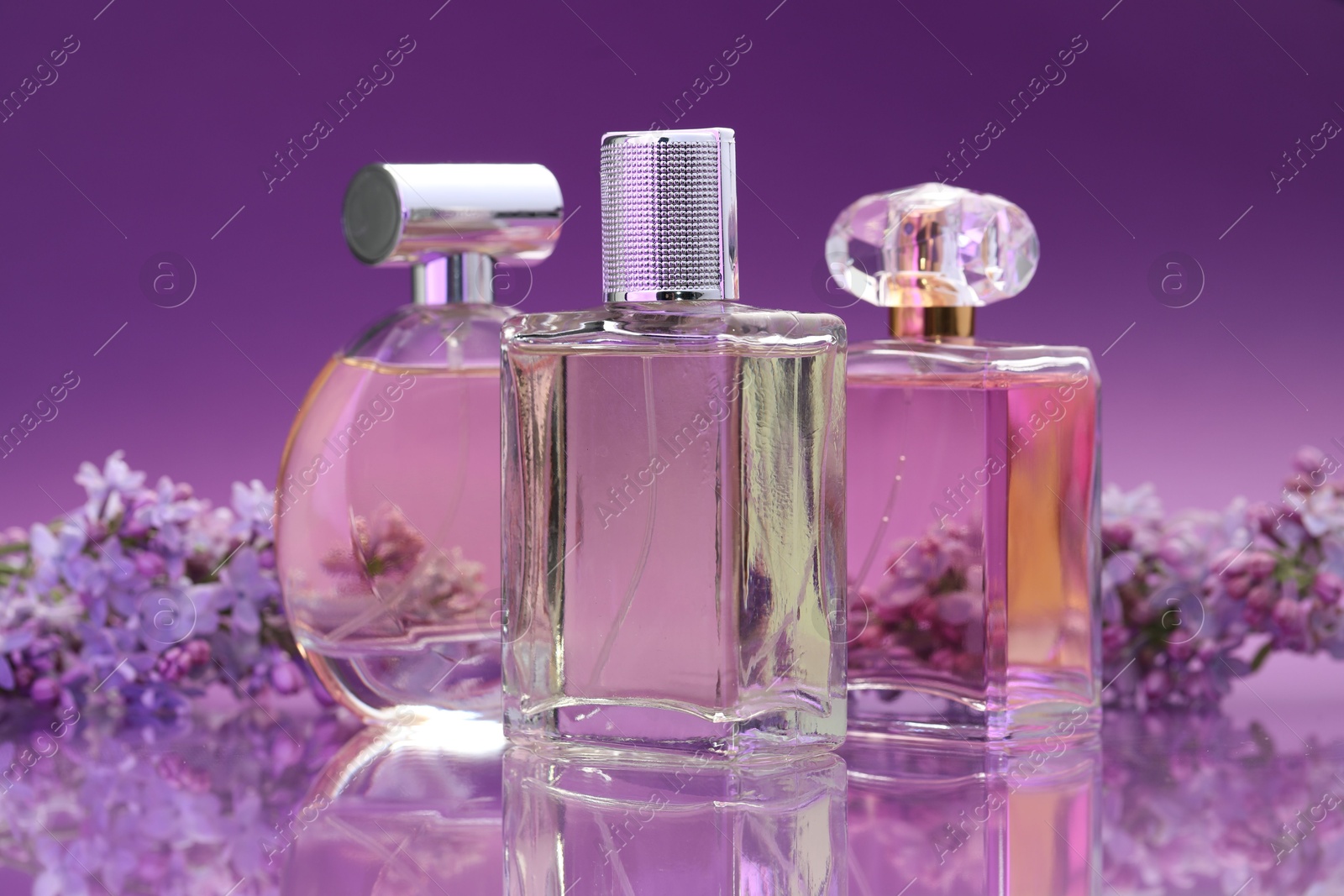 Bottles with perfumes and lilac flowers on mirror surface against color gradient background, closeup Photo of Bottles with perfumes and lilac flowers on mirror surface against color gradient background, closeup
