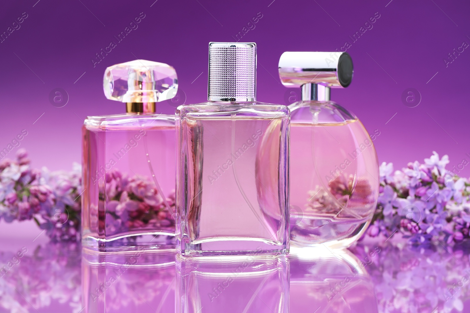 Bottles with perfumes and lilac flowers on mirror surface against color gradient background, closeup Photo of Bottles with perfumes and lilac flowers on mirror surface against color gradient background, closeup