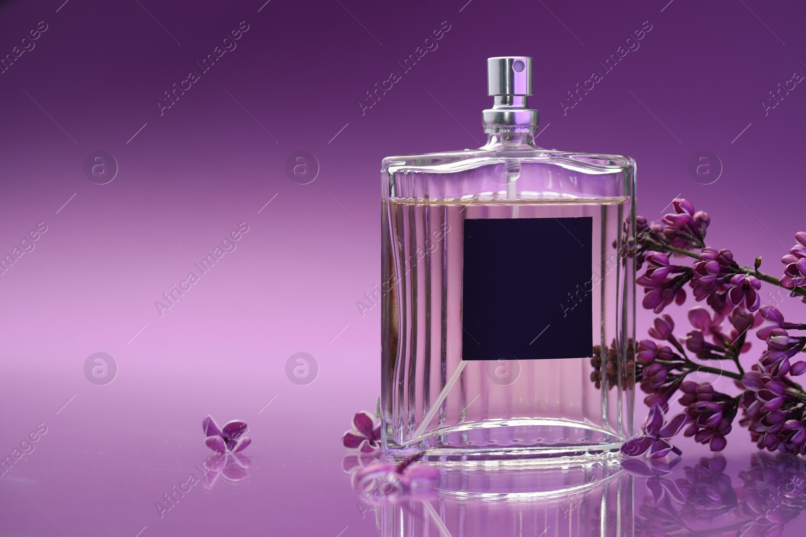 Bottle with perfume and lilac flowers on mirror surface against color gradient background, closeup. Space for text Photo of Bottle with perfume and lilac flowers on mirror surface against color gradient background, closeup. Space for text