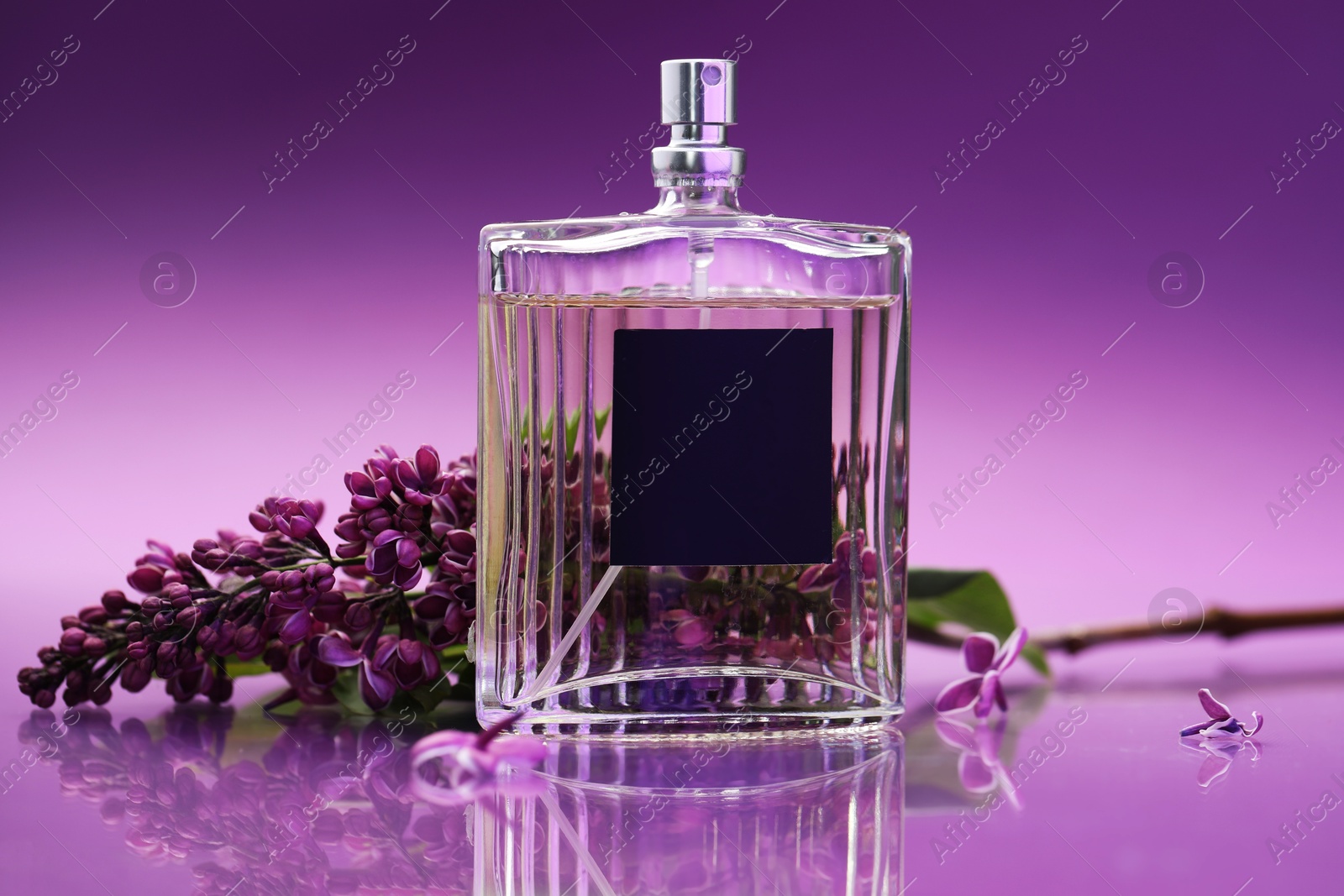 Bottle of perfume and branch with lilac flowers on mirror surface against color gradient background, closeup Photo of Bottle of perfume and branch with lilac flowers on mirror surface against color gradient background, closeup