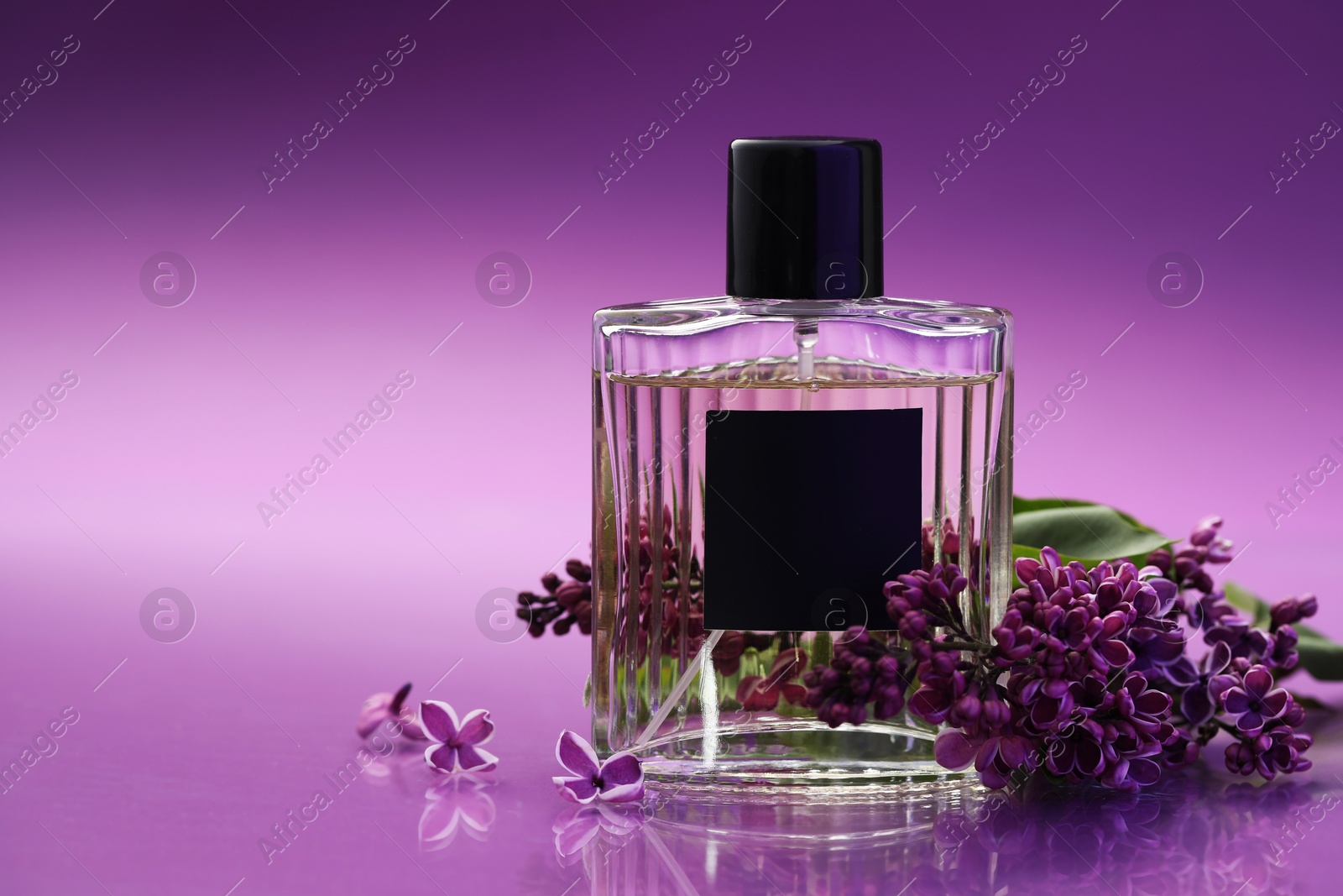 Bottle of perfume and branch with lilac flowers on mirror surface against color gradient background, closeup. Space for text Photo of Bottle of perfume and branch with lilac flowers on mirror surface against color gradient background, closeup. Space for text