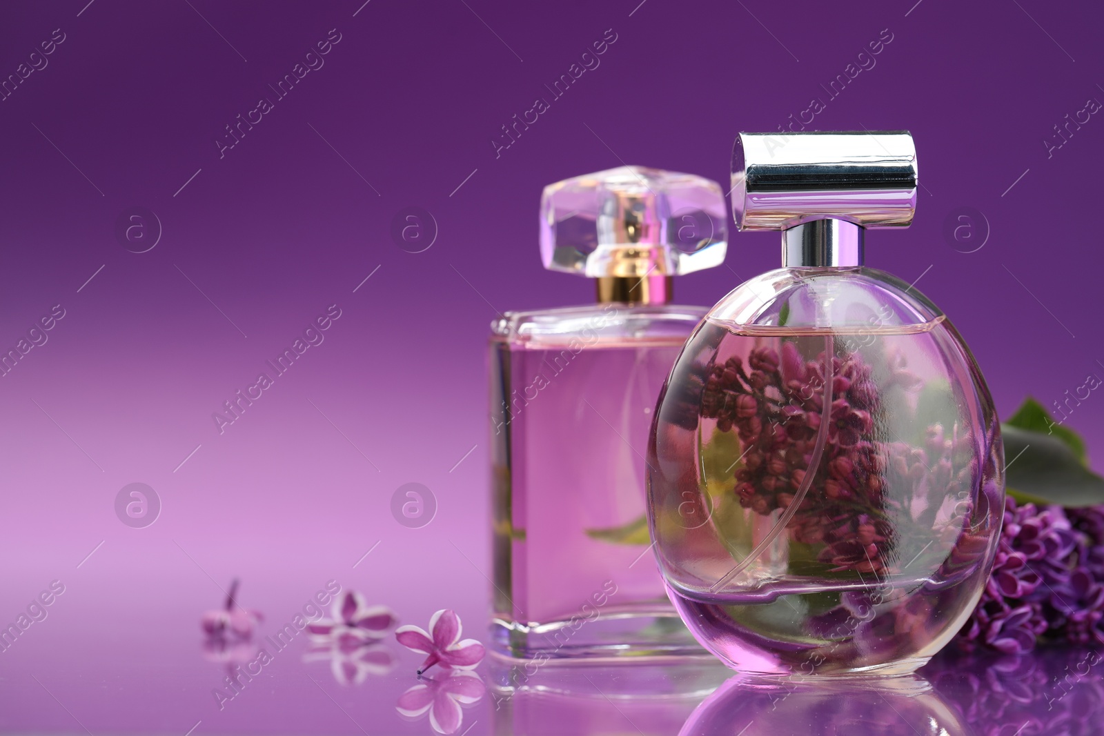 Bottles with perfumes and lilac flowers on mirror surface against color gradient background, closeup. Space for text Photo of Bottles with perfumes and lilac flowers on mirror surface against color gradient background, closeup. Space for text