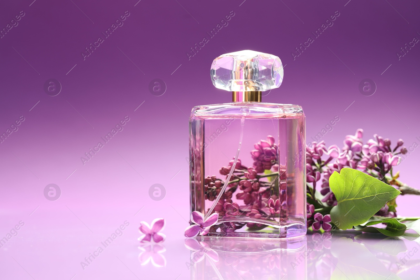 Bottle with perfume and lilac flowers on mirror surface against color gradient background, closeup. Space for text Photo of Bottle with perfume and lilac flowers on mirror surface against color gradient background, closeup. Space for text