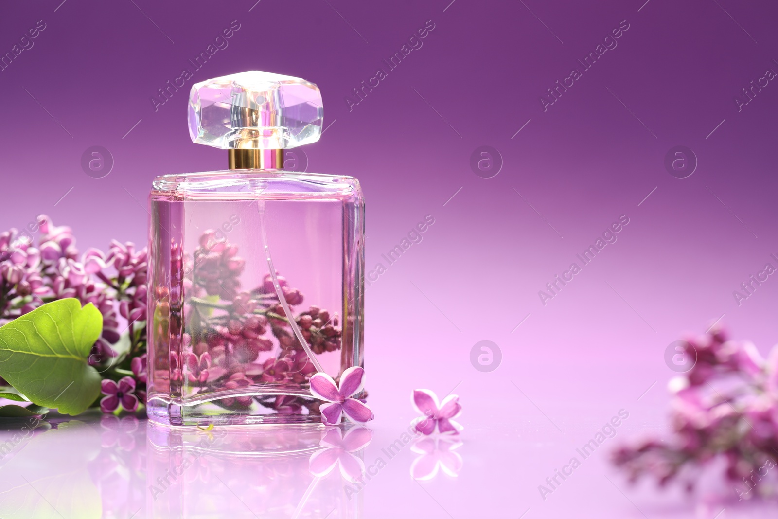 Bottle with perfume and lilac flowers on mirror surface against color gradient background, closeup. Space for text Photo of Bottle with perfume and lilac flowers on mirror surface against color gradient background, closeup. Space for text