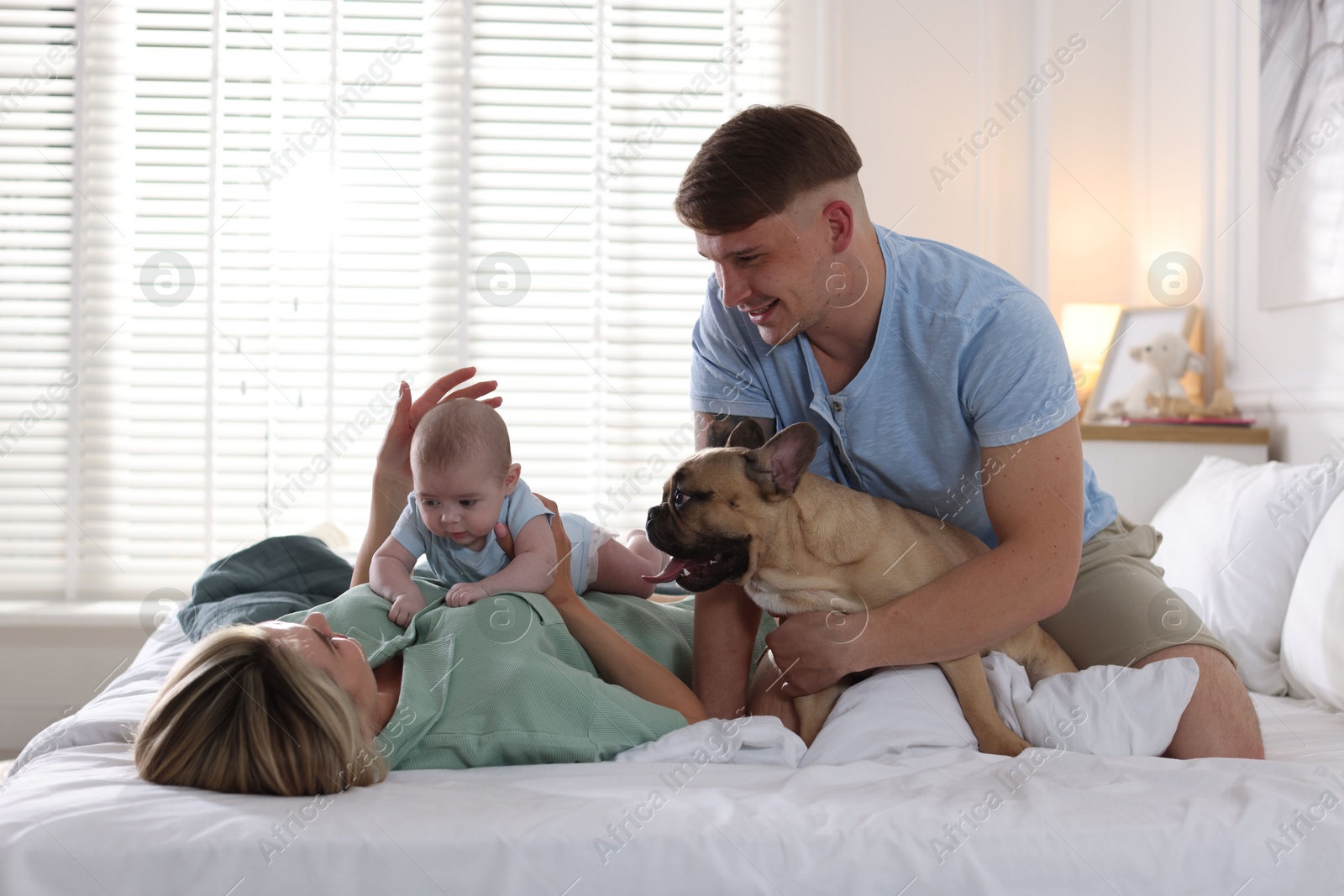 Happy family with little baby and cute dog on bed at home Photo of Happy family with little baby and cute dog on bed at home