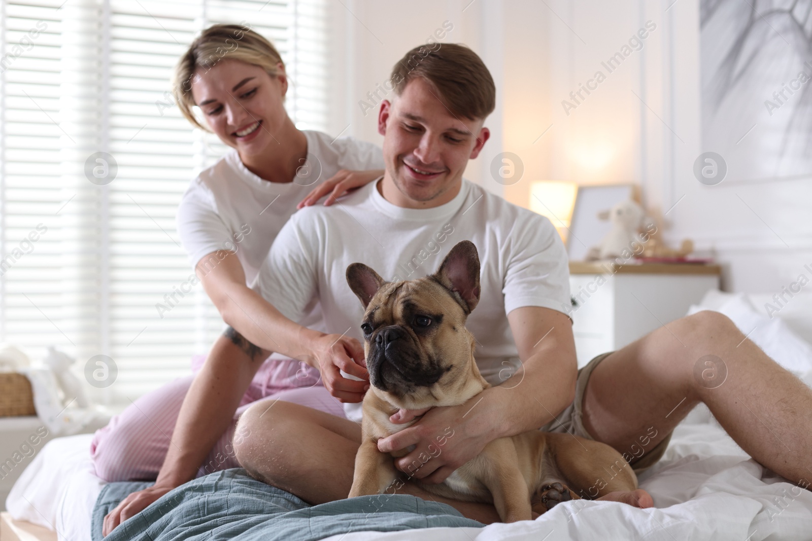 Happy couple with cute dog on bed at home Photo of Happy couple with cute dog on bed at home