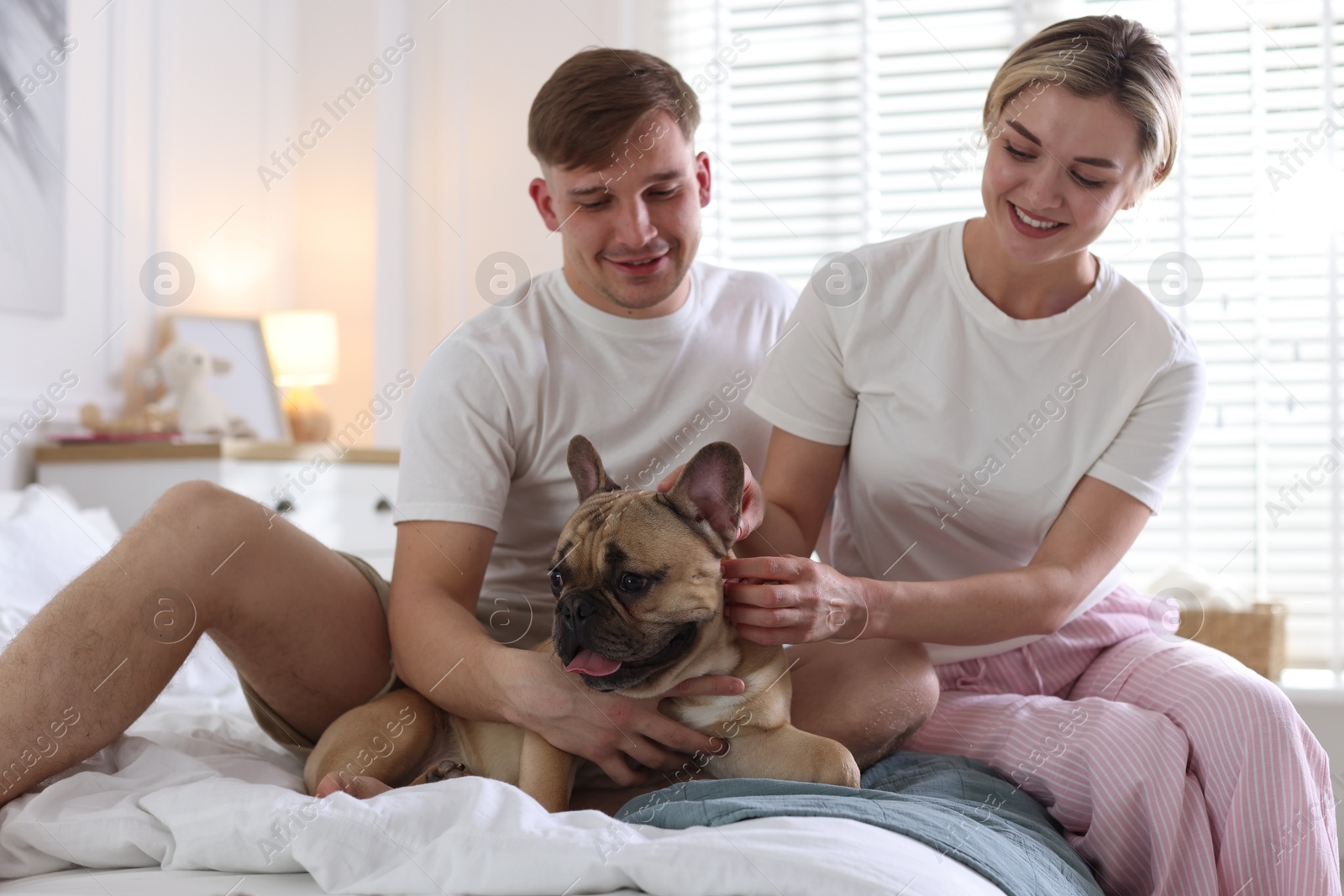 Happy couple with cute dog on bed at home Photo of Happy couple with cute dog on bed at home