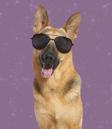 Image of Adorable German Shepherd dog with sunglasses against pale purple background