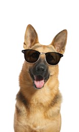 Image of Adorable German Shepherd dog with sunglasses against white background