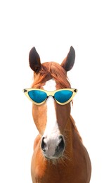 Image of Cute horse with sunglasses against white background