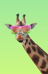 Image of Cute giraffe with sunglasses against green gradient background