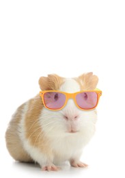 Image of Cute Guinea pig with sunglasses against white background