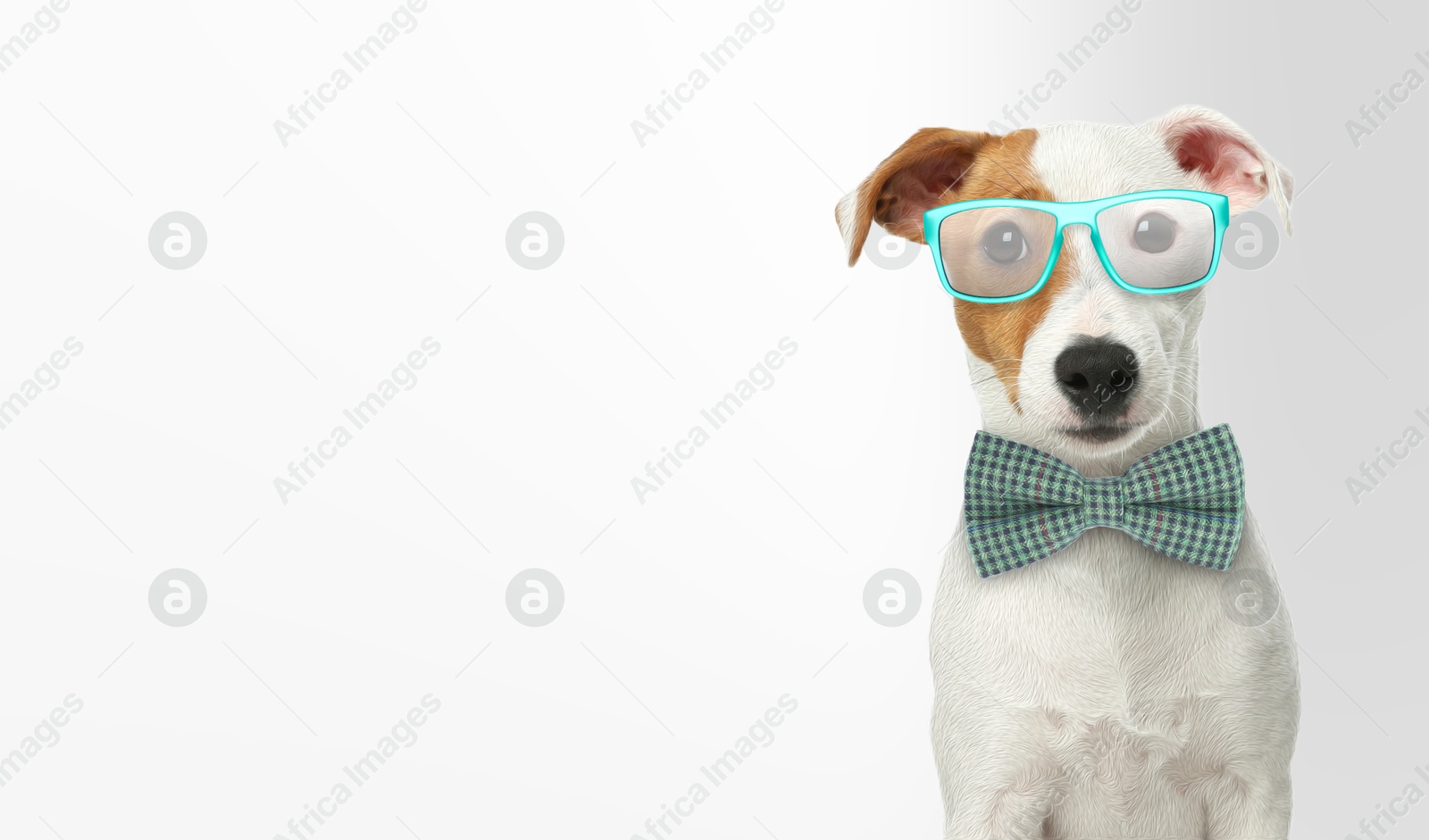 Cute Jack Russell terrier with sunglasses and bow tie against white background. Banner design with space for text Image of Cute Jack Russell terrier with sunglasses and bow tie against white background. Banner design with space for text