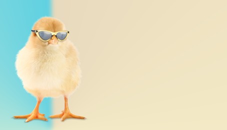 Image of Cute chick with sunglasses against color background. Banner design with space for text