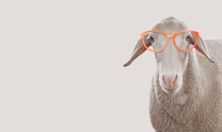 Image of Cute sheep with sunglasses against beige background. Banner design with space for text