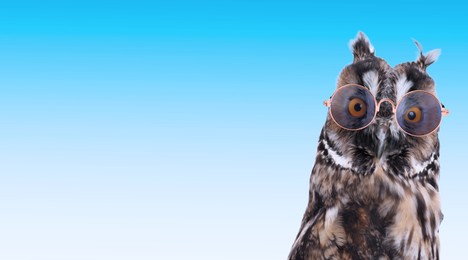 Image of Adorable owl with sunglasses against light blue gradient background. Banner design with space for text