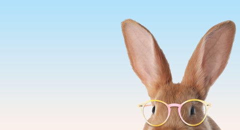 Image of Cute fluffy bunny with sunglasses against light blue gradient background. Banner design with space for text
