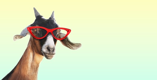 Image of Cute goat with sunglasses against beige gradient background. Banner design with space for text