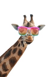Image of Adorable giraffe with sunglasses against white background