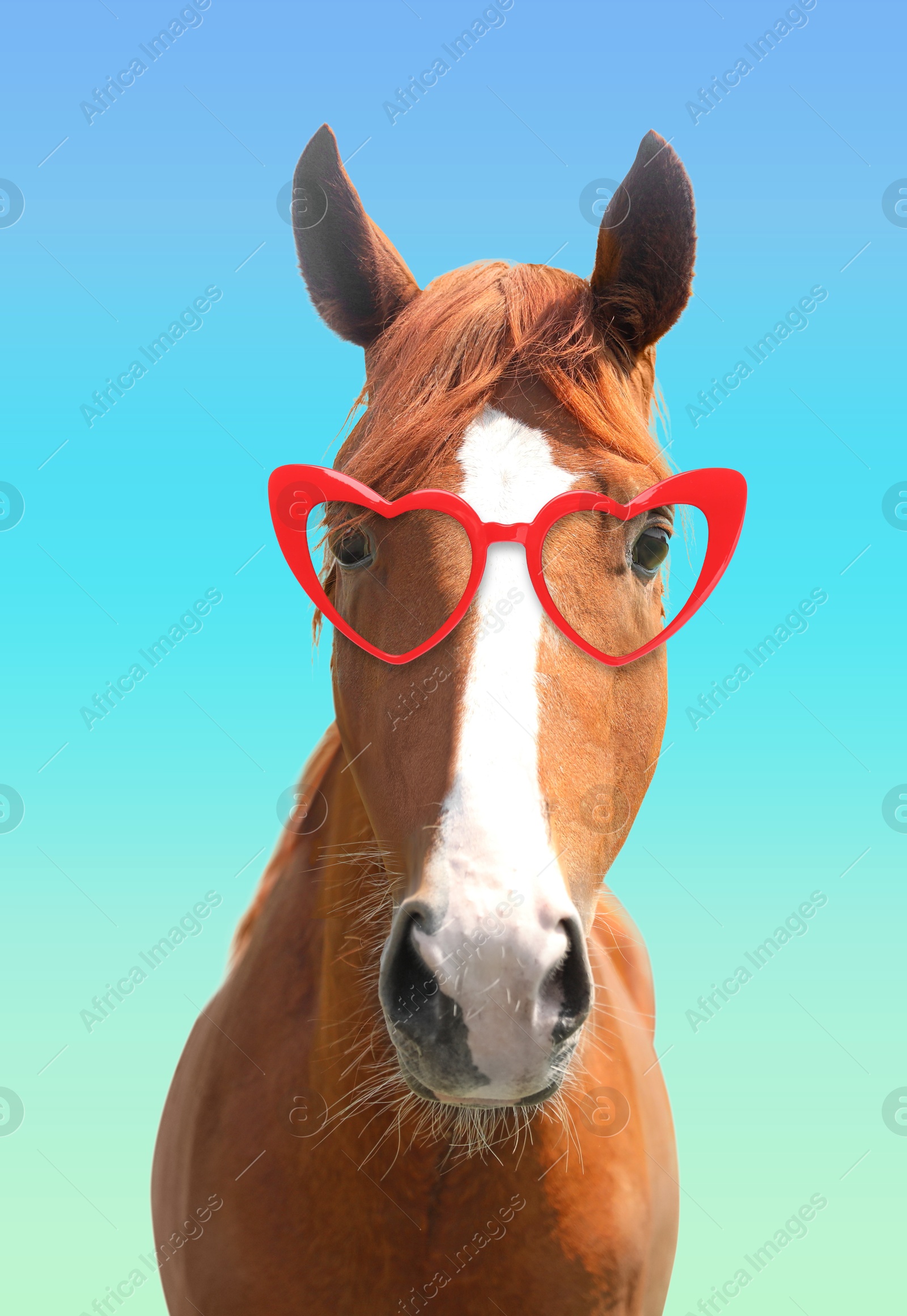 Cute horse with heart-shaped sunglasses against blue gradient background Image of Cute horse with heart-shaped sunglasses against blue gradient background