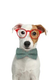 Image of Cute Jack Russell terrier with sunglasses and bow tie against white background
