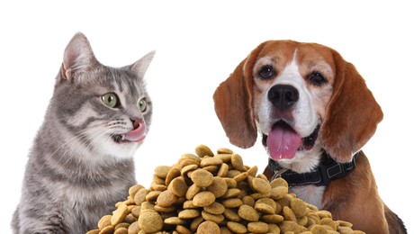 Image of Adorable dog and cat with pile of dry pet food on white background