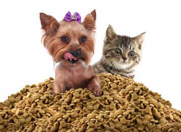 Image of Adorable dog and cat on pile of dry pet food against white background