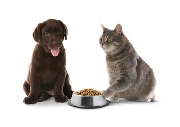 Image of Adorable cat and puppy with bowl of dry pet food on white background