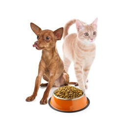 Image of Adorable dog and cat with bowl of dry pet food on white background