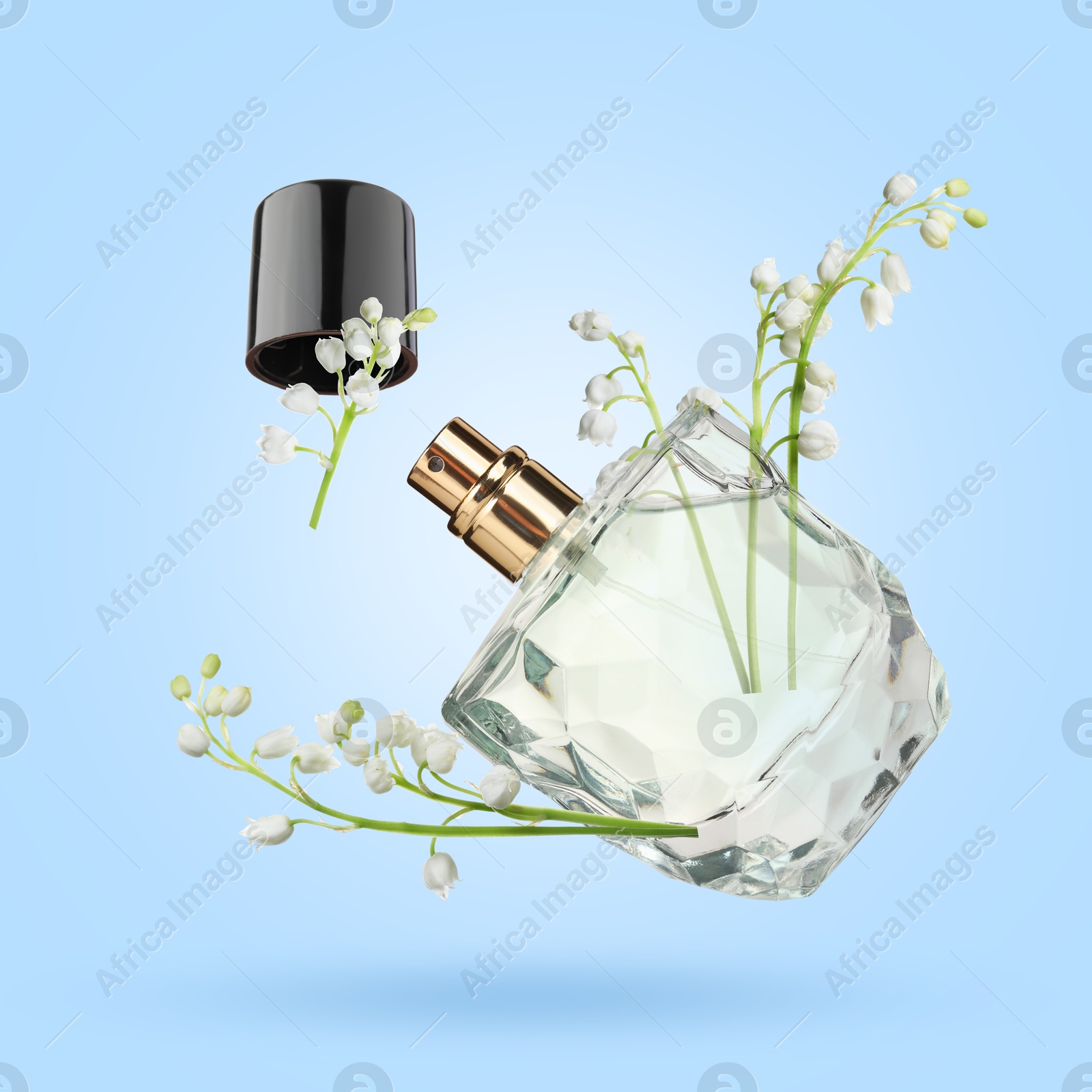 Lilies of the valley and bottle of perfume in air on light blue background Image of Lilies of the valley and bottle of perfume in air on light blue background