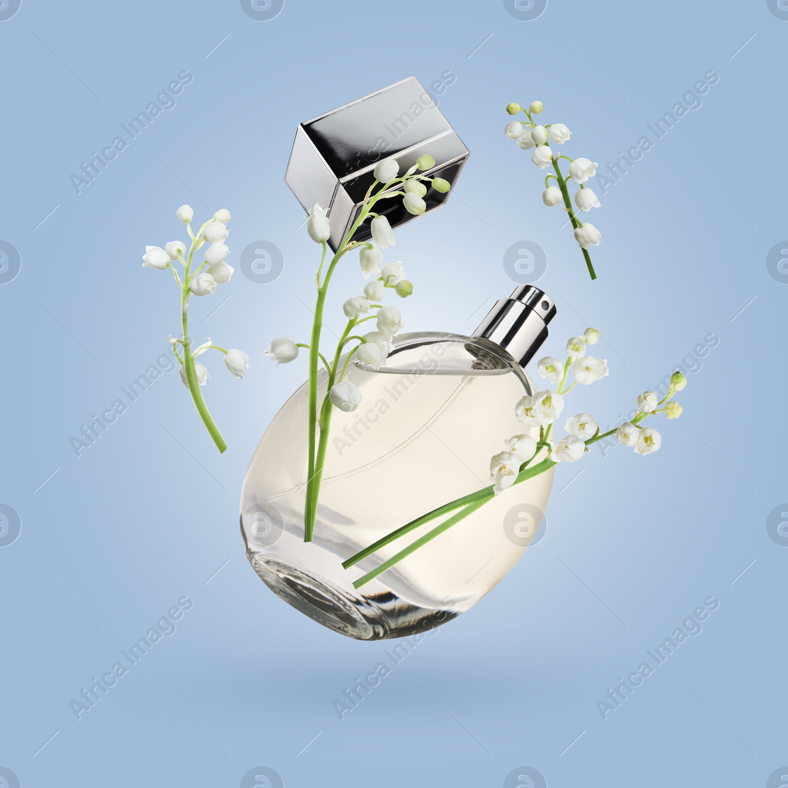 Lilies of the valley and bottle of perfume in air on light blue background Image of Lilies of the valley and bottle of perfume in air on light blue background