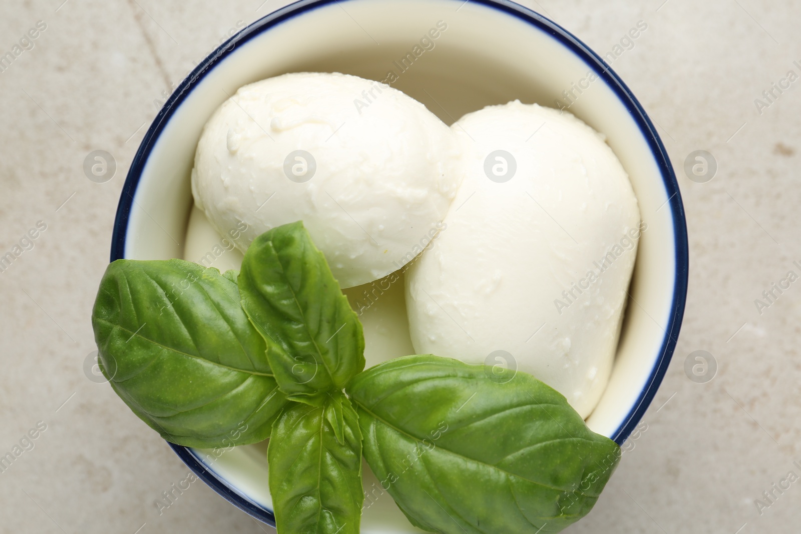 Tasty mozzarella cheese and basil on light table, top view Photo of Tasty mozzarella cheese and basil on light table, top view
