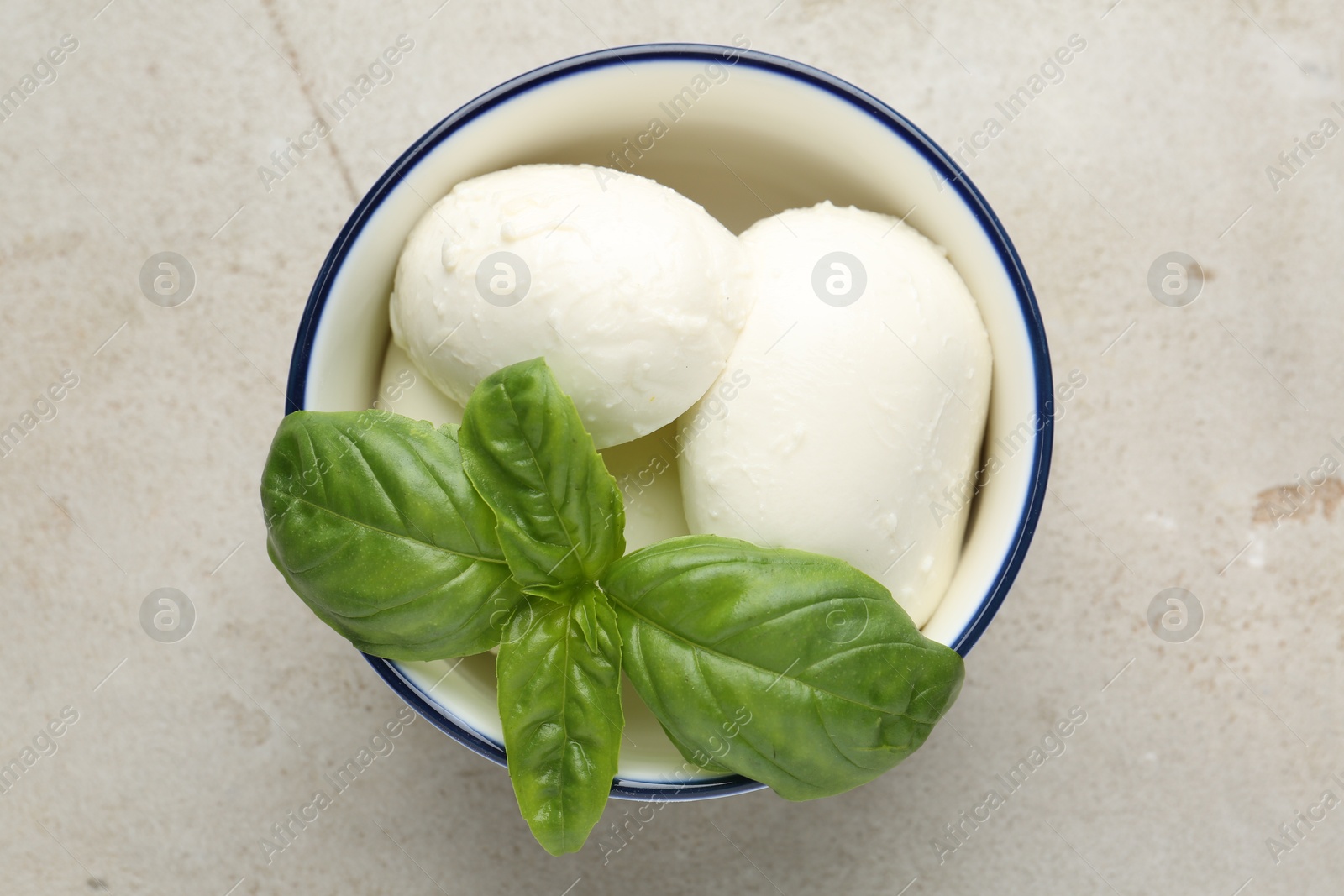 Tasty mozzarella cheese and basil on light table, top view Photo of Tasty mozzarella cheese and basil on light table, top view