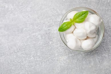 Photo of Mozzarella cheese balls and basil on light grey table, top view. Space for text