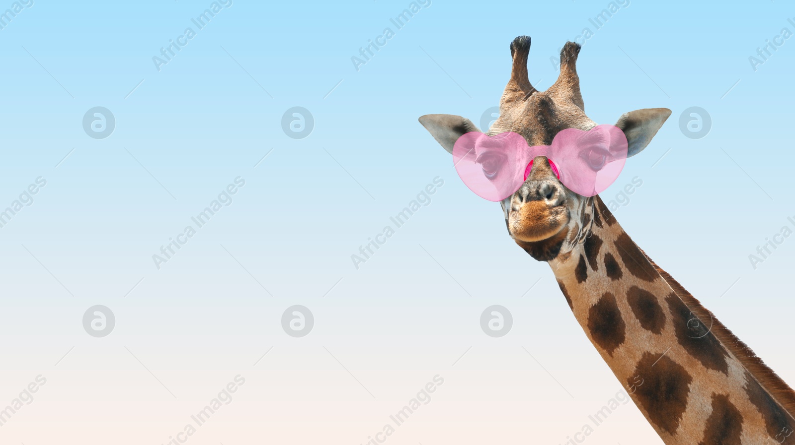 Cute giraffe with heart-shaped sunglasses against light blue gradient background. Banner design with space for text Image of Cute giraffe with heart-shaped sunglasses against light blue gradient background. Banner design with space for text