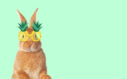 Image of Cute fluffy bunny with pineapple sunglasses against light turquoise background. Banner design with space for text