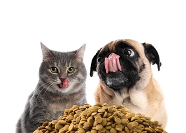 Image of Adorable dog and cat with pile of dry pet food on white background