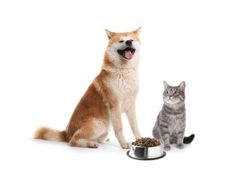 Image of Adorable dog and cat with bowl of dry pet food on white background