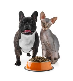 Image of Adorable dog and cat with bowl of dry pet food on white background