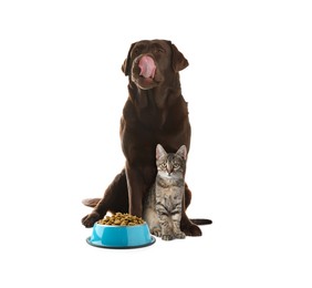 Image of Adorable dog and cat with bowl of dry pet food on white background