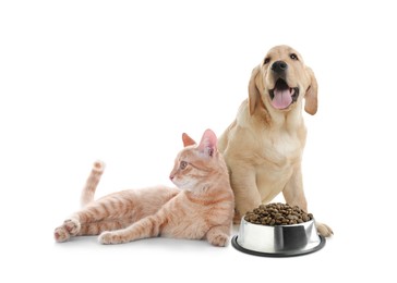 Image of Adorable dog and cat with bowl of dry pet food on white background