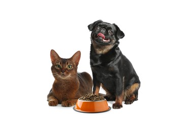Image of Adorable dog and cat with bowl of dry pet food on white background