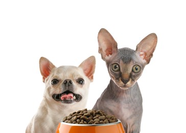 Image of Adorable dog and cat with bowl of dry pet food on white background