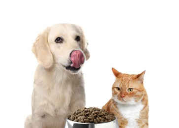 Image of Adorable dog and cat with bowl of dry pet food on white background