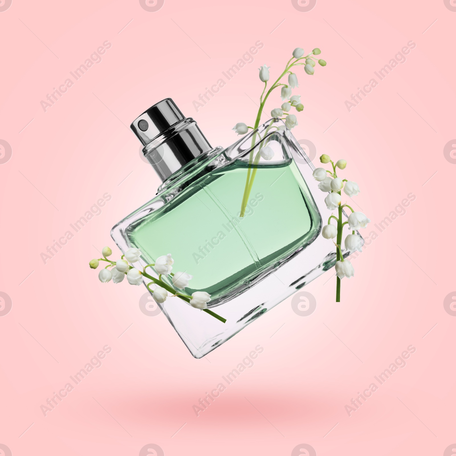 Lilies of the valley and bottle of perfume in air on pink background Image of Lilies of the valley and bottle of perfume in air on pink background