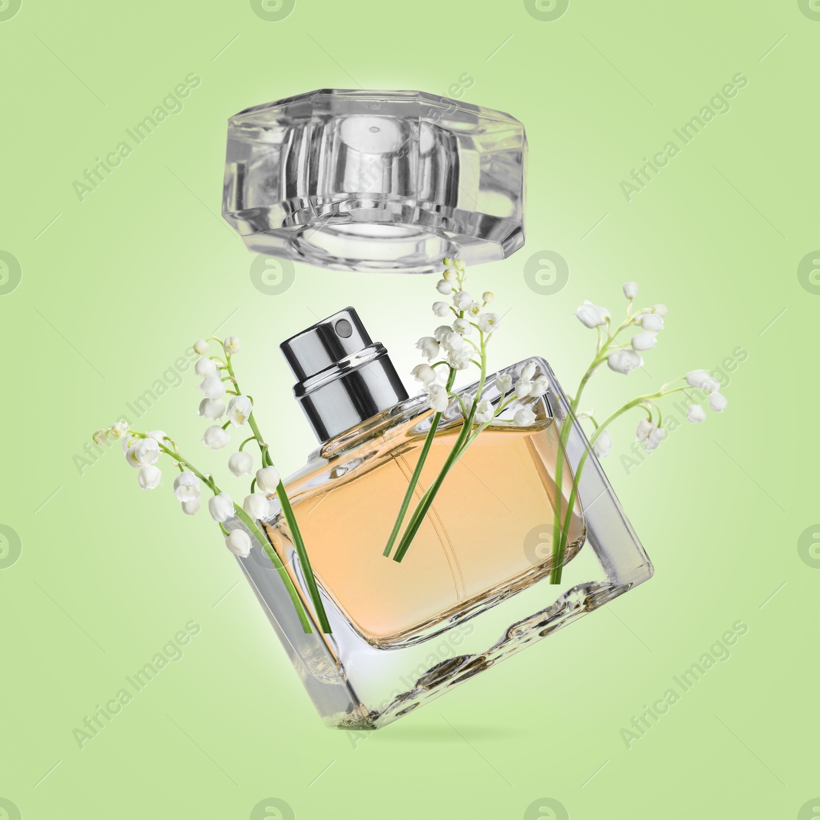 Lilies of the valley and bottle of perfume in air on light green background Image of Lilies of the valley and bottle of perfume in air on light green background