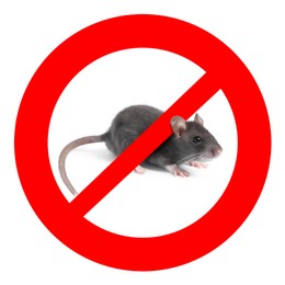 Image of Little rat with red prohibition sign on white background. Pest control