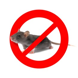 Image of Little rat with red prohibition sign on white background. Pest control